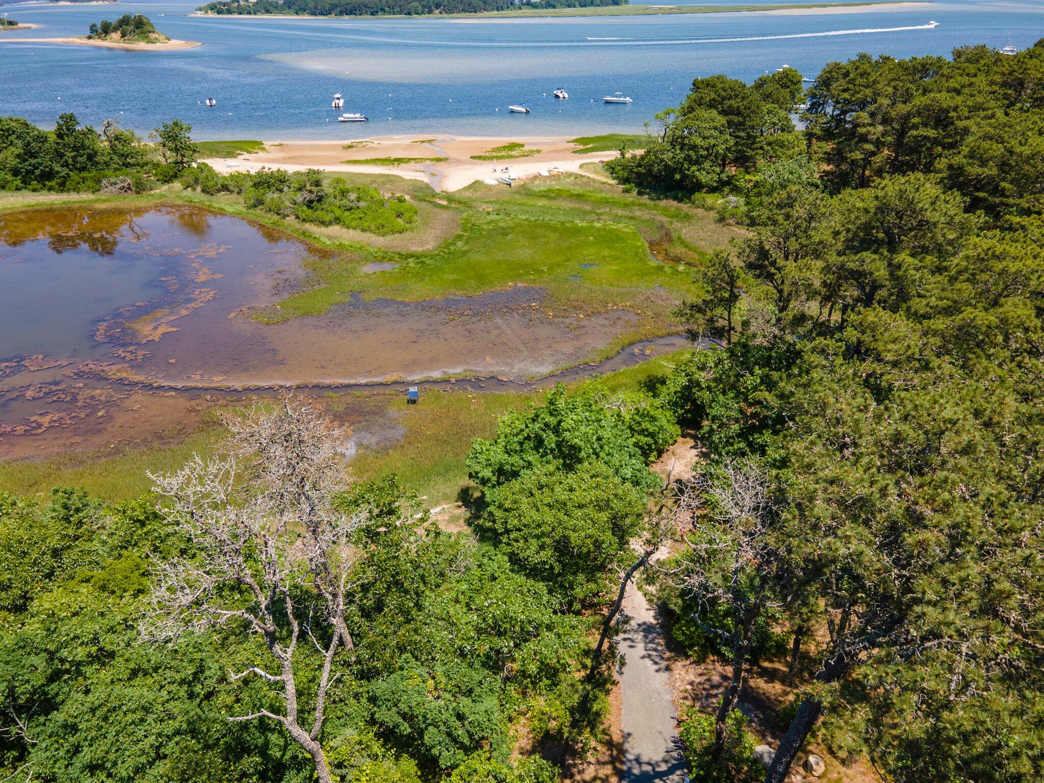 75 Whidah Road Chatham, MA 02650 - Photo 40 of 47 a view of a pathway both side of river and yard
