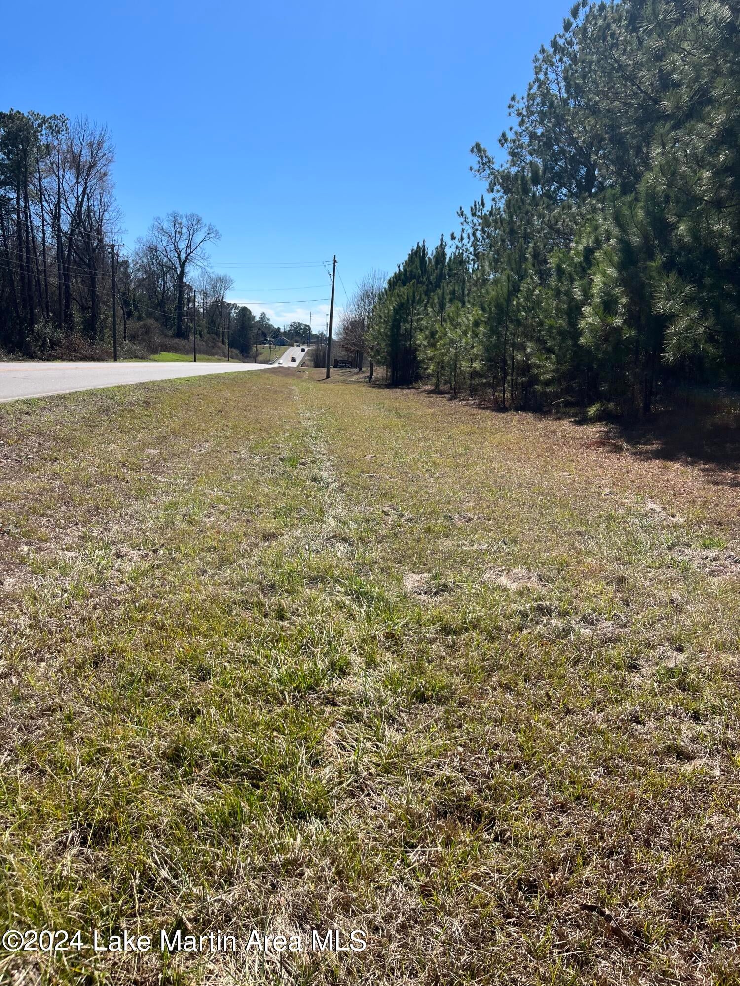 Comer Street Alexander City, AL 35010 - Photo 1 of 1 Gallery Image 1