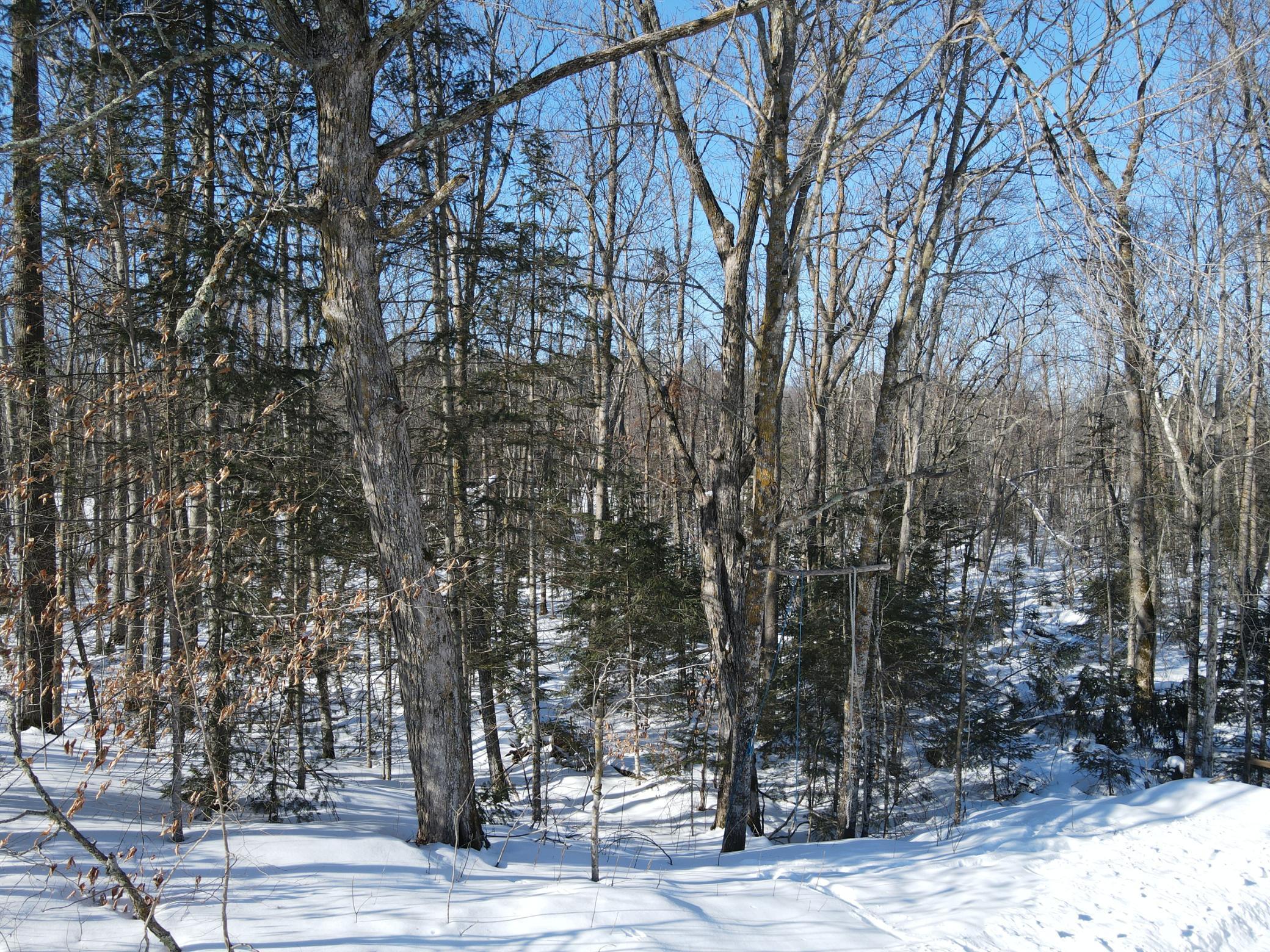 11563 Beaver Drive Brainerd, MN 56401 - Photo 25 of 38