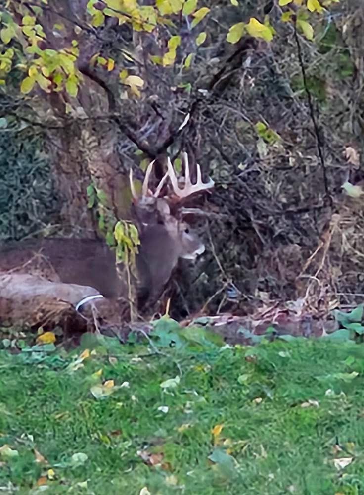 11563 Beaver Drive Brainerd, MN 56401 - Photo 29 of 38