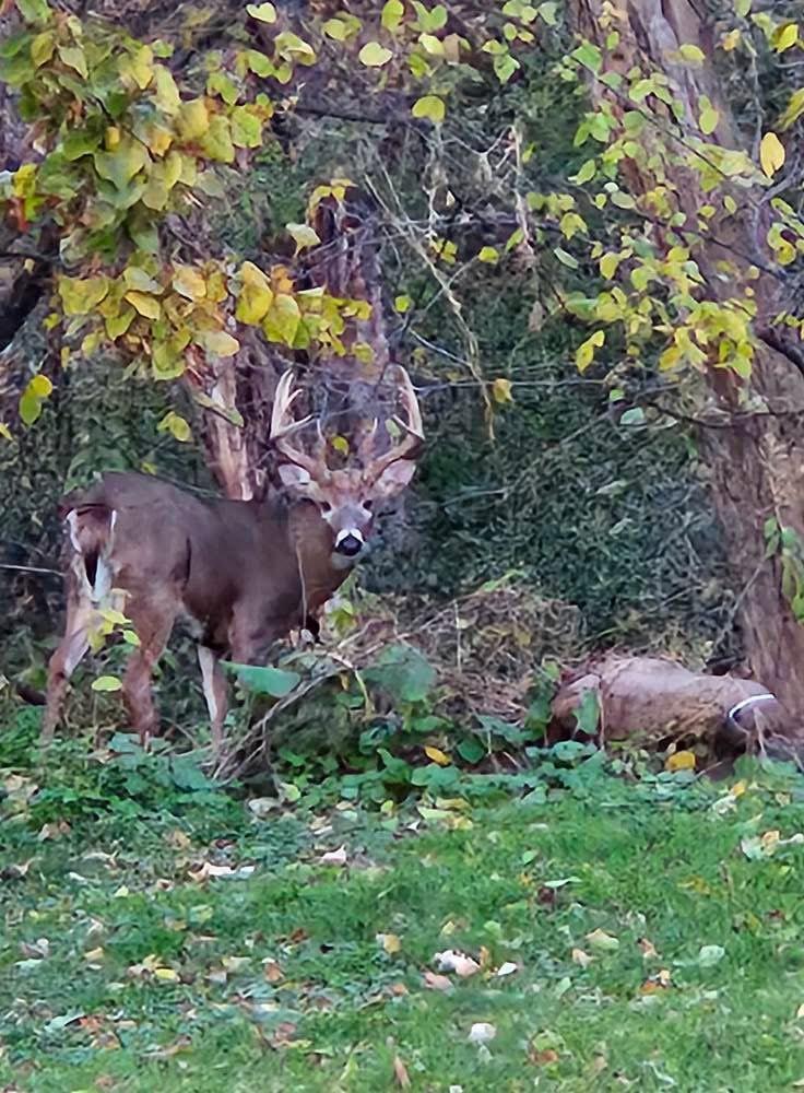11563 Beaver Drive Brainerd, MN 56401 - Photo 31 of 38