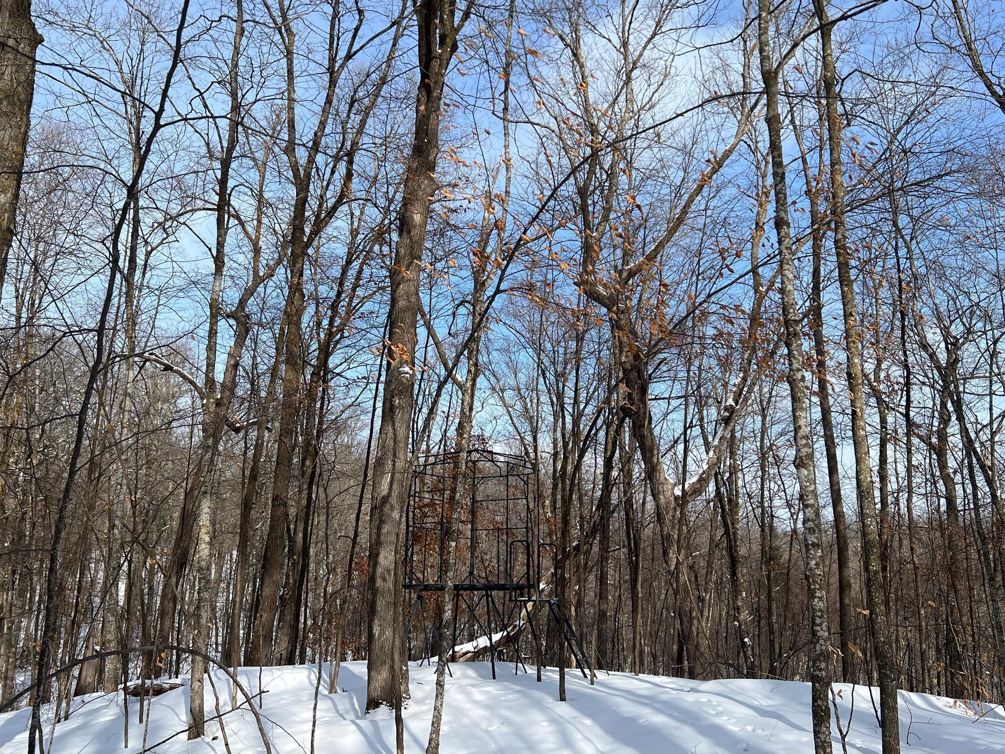 11563 Beaver Drive Brainerd, MN 56401 - Photo 35 of 38