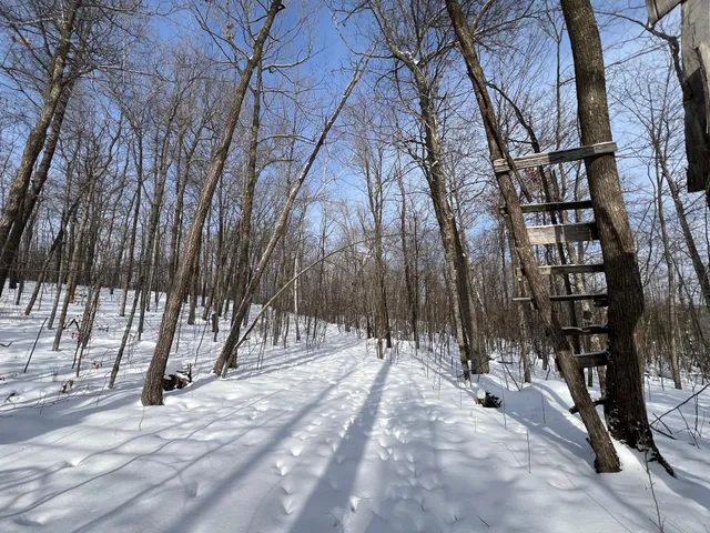 $150,000 | 11563 Beaver Drive, Brainerd, MN 56401