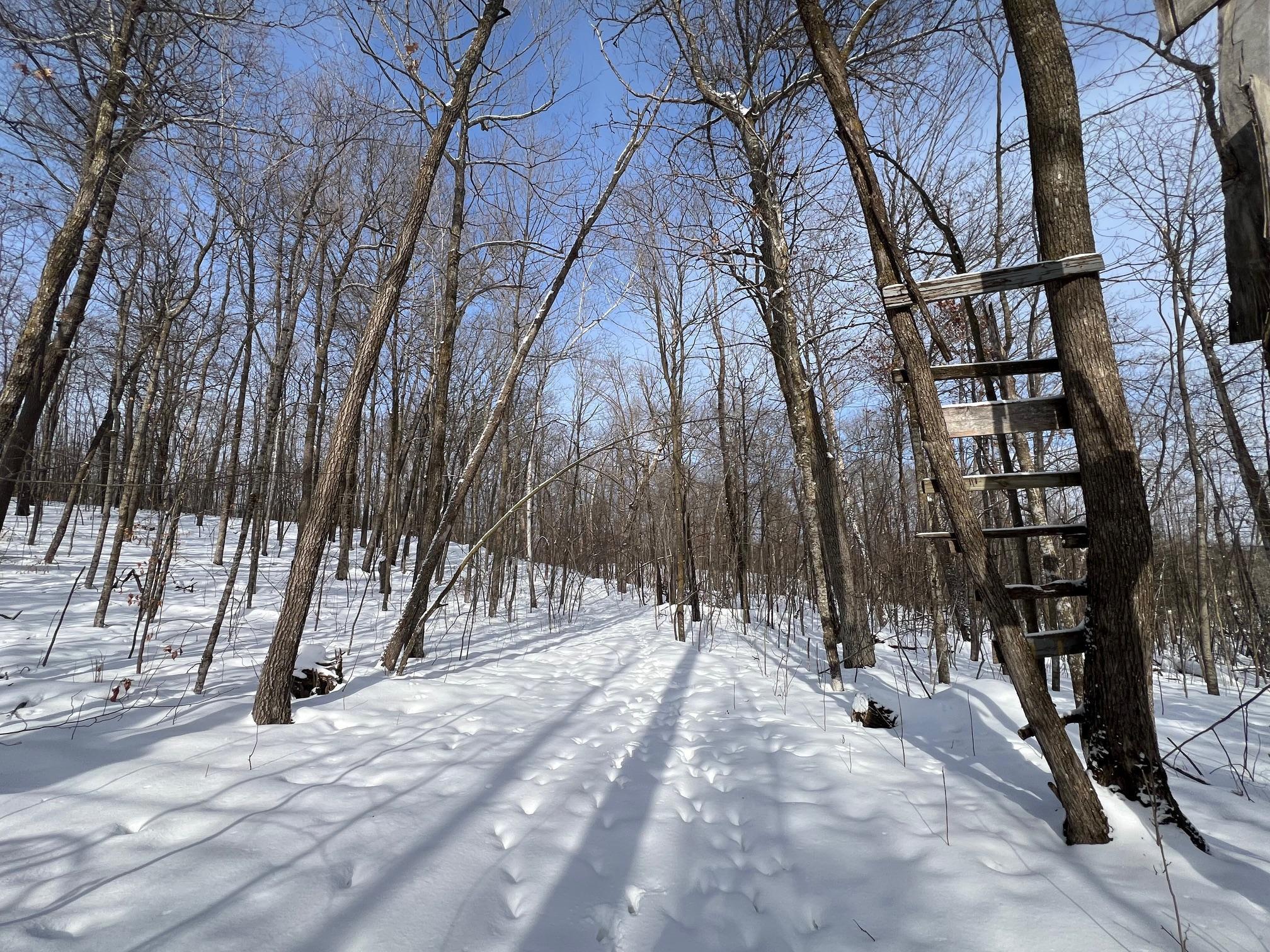 11563 Beaver Drive Brainerd, MN 56401 - Photo 36 of 38
