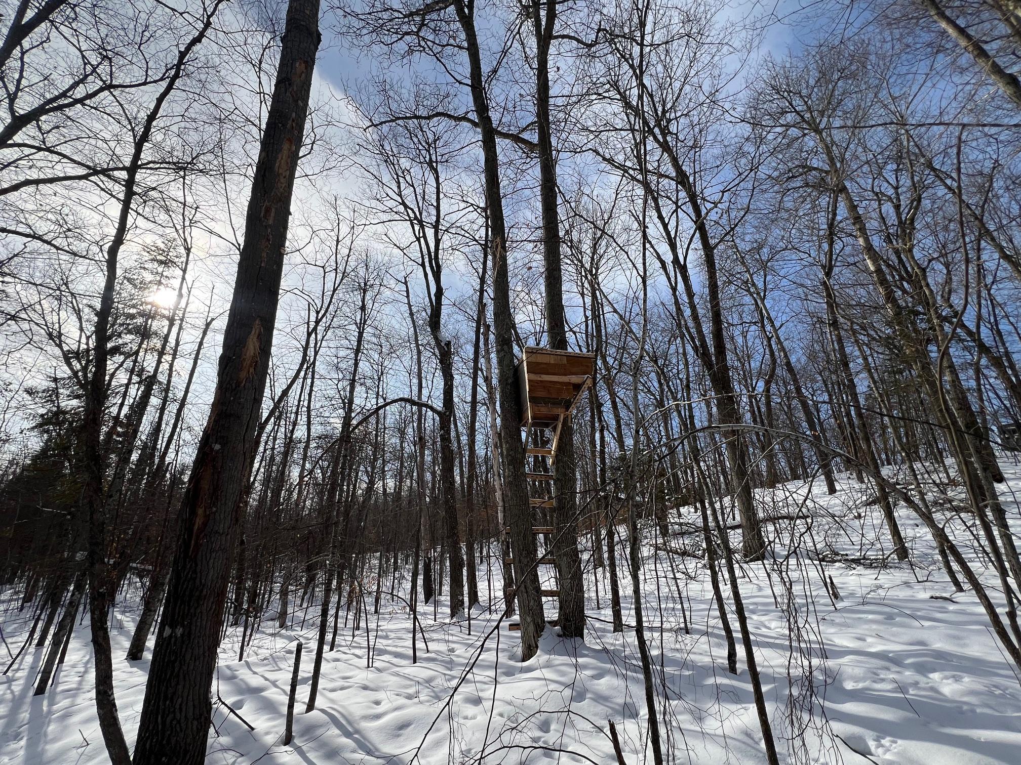 11563 Beaver Drive Brainerd, MN 56401 - Photo 38 of 38