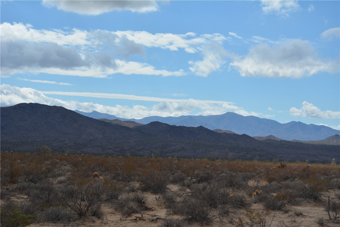 207-35-005 South Arlington Road Yucca, AZ 86438 - Photo 54 of 92