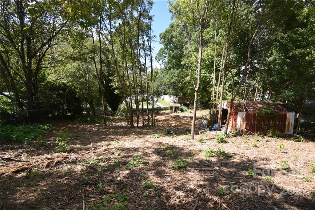 90 Woodland Church Road Clyde, NC 28721 - Photo 9 of 11 a view of a yard with trees