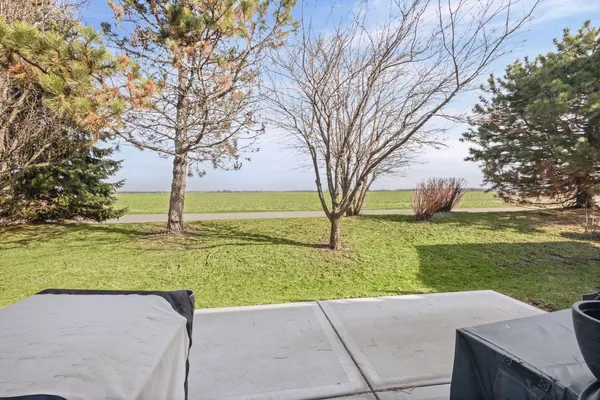 a view of yard with swimming pool and green space