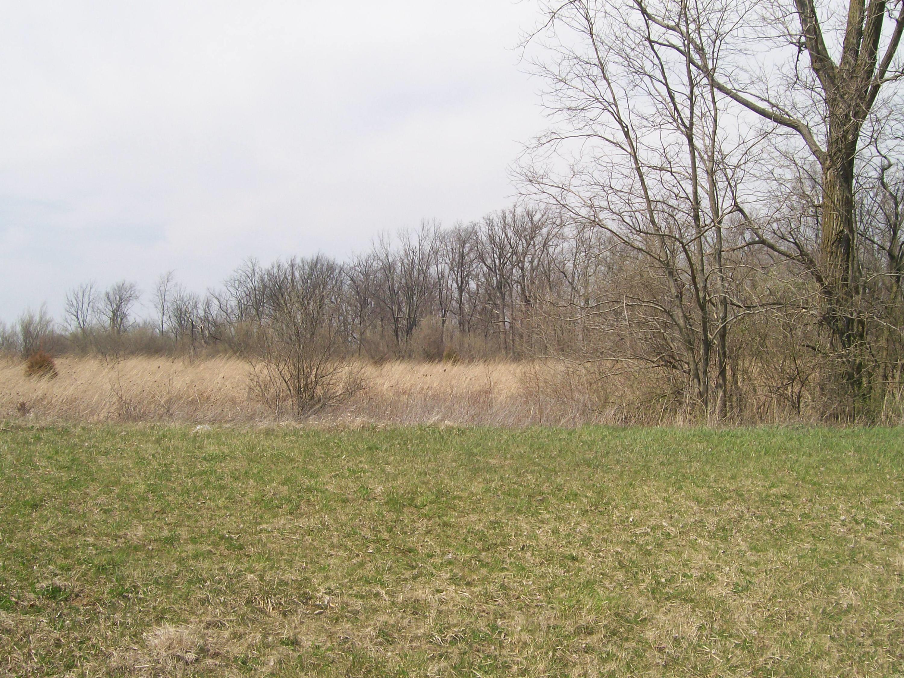 0 Crownover Mill Road Williamsport, OH 43164 - Photo 4 of 5