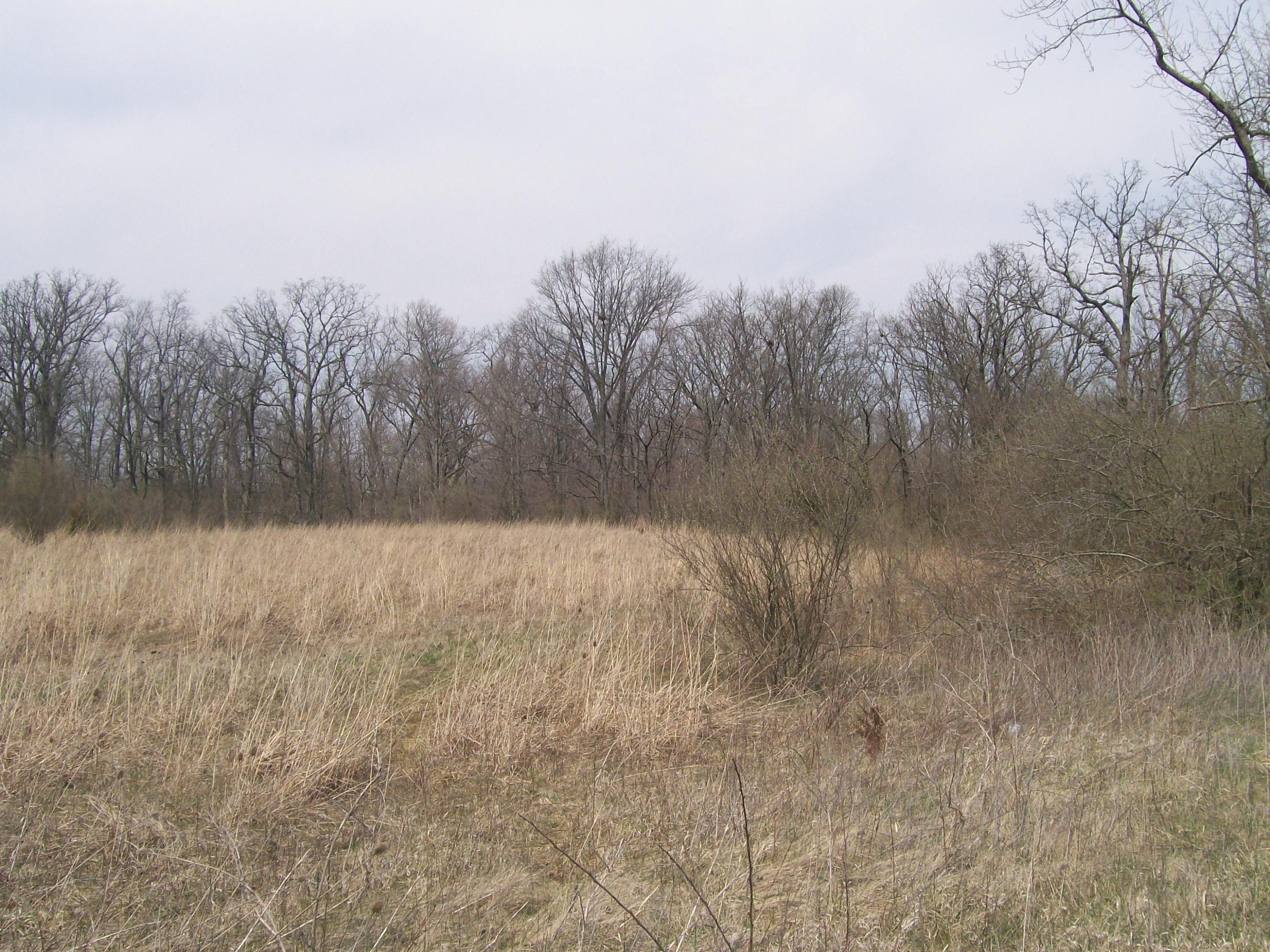 0 Crownover Mill Road Williamsport, OH 43164 - Photo 5 of 5
