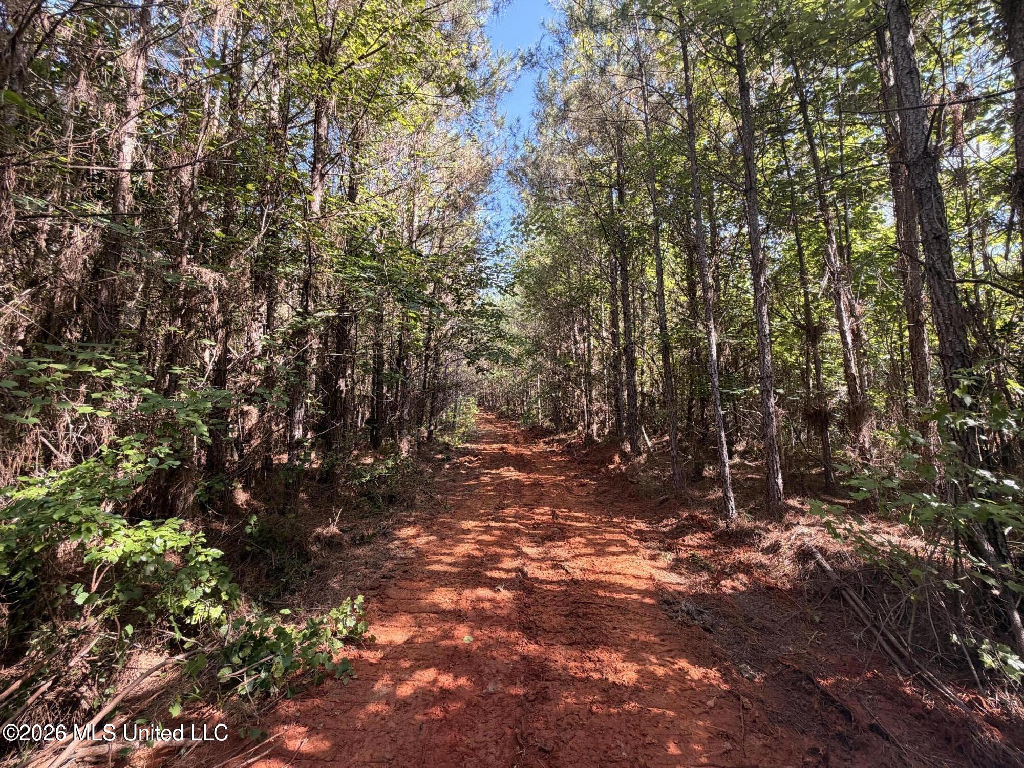 Tom Mans Road Vaiden, MS 39176 - Photo 4 of 12 IMG_4061