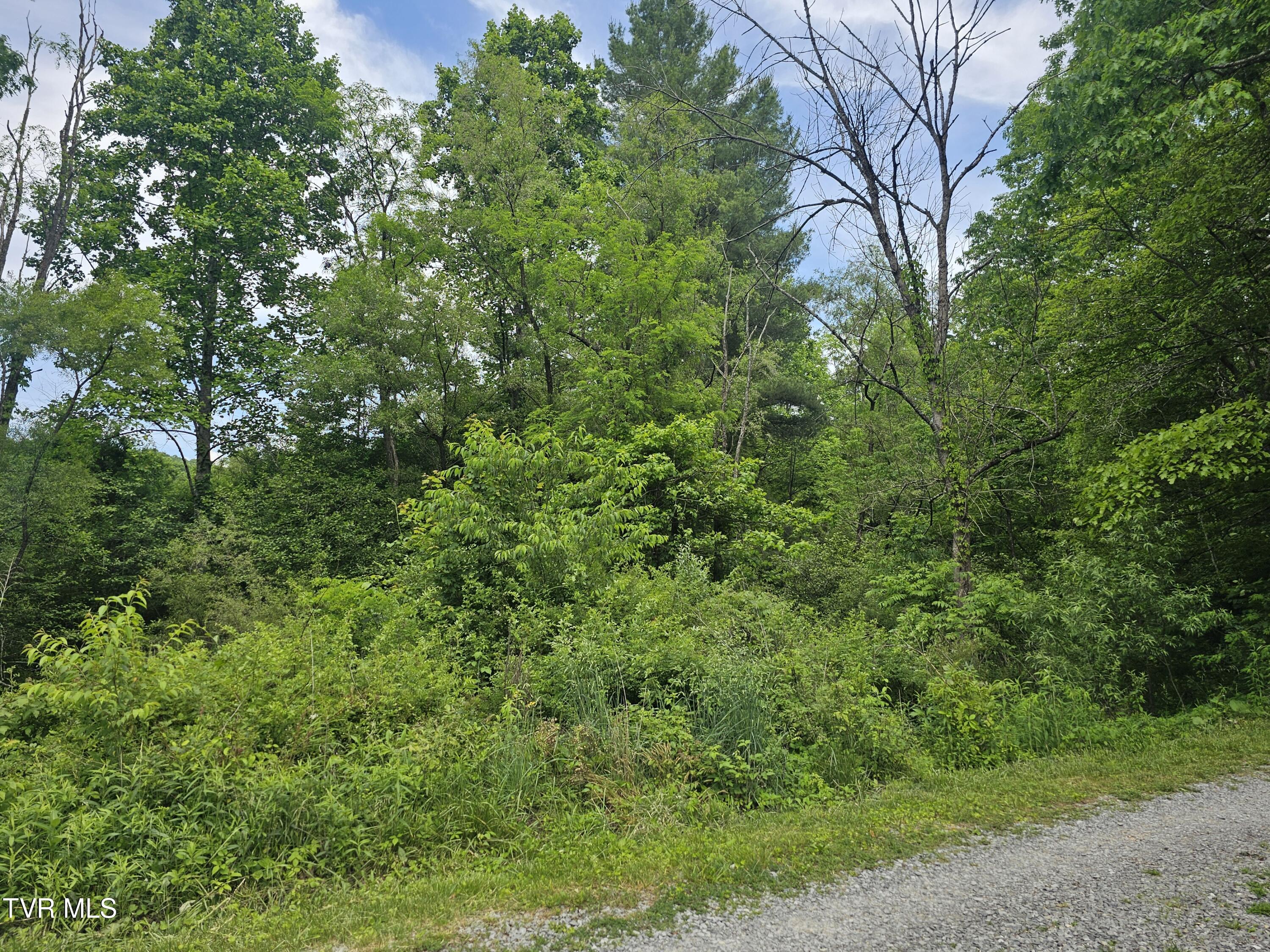 Tbd Hurricane Road Wise, VA 24293 - Photo 13 of 14 Off Gilliam Rd