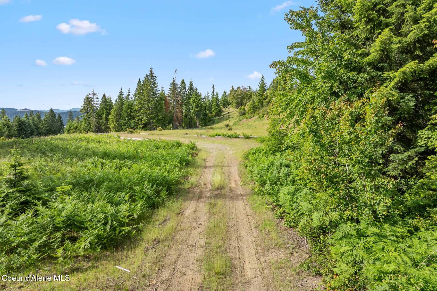 L2-b2 Napili Road Harrison, ID 83833 - Photo 17 of 19 Driveway to the top
