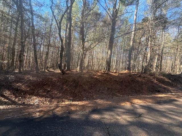 11 Harris Road Bolivar, TN 38008 - Photo 12 of 18 a view of outdoor space with trees