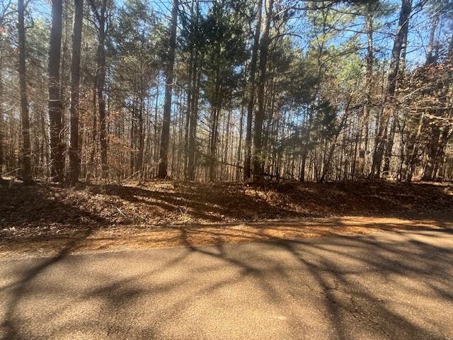11 Harris Road Bolivar, TN 38008 - Photo 14 of 18 a view of a house with a yard