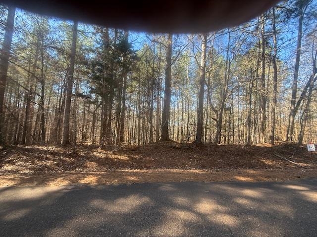 11 Harris Road Bolivar, TN 38008 - Photo 16 of 18 a view of a yard with a large tree
