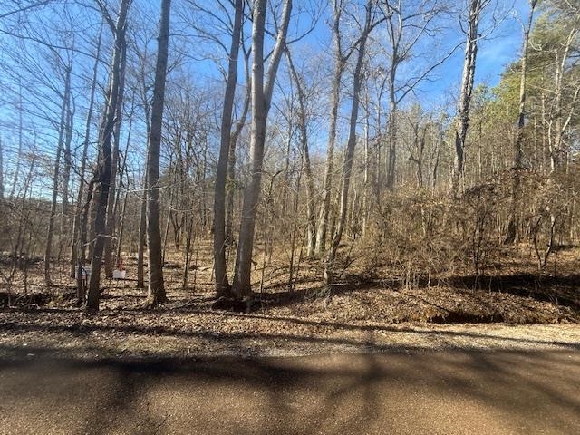 11 Harris Road Bolivar, TN 38008 - Photo 3 of 18 a view of a water with large trees