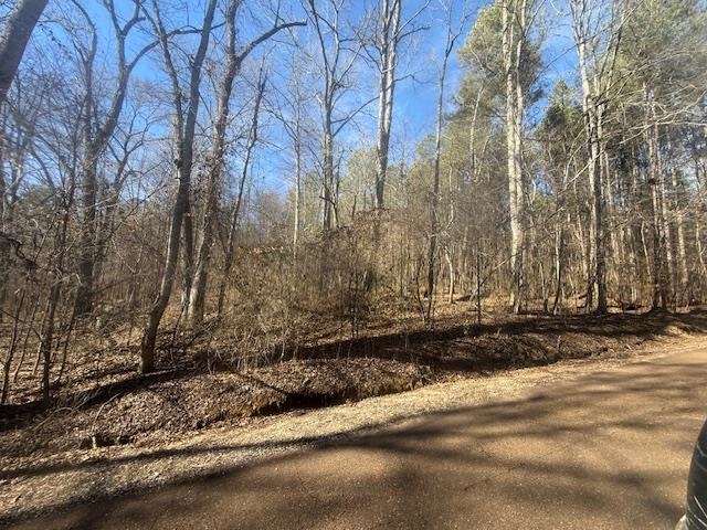 11 Harris Road Bolivar, TN 38008 - Photo 4 of 18 a view of a backyard of the house