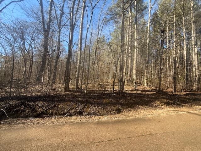 11 Harris Road Bolivar, TN 38008 - Photo 5 of 18 a view of a backyard of the house