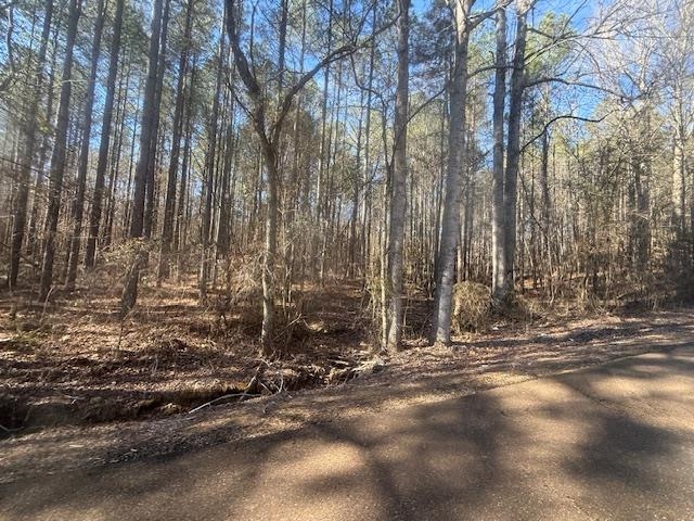 11 Harris Road Bolivar, TN 38008 - Photo 6 of 18 a view of a pathway with a yard
