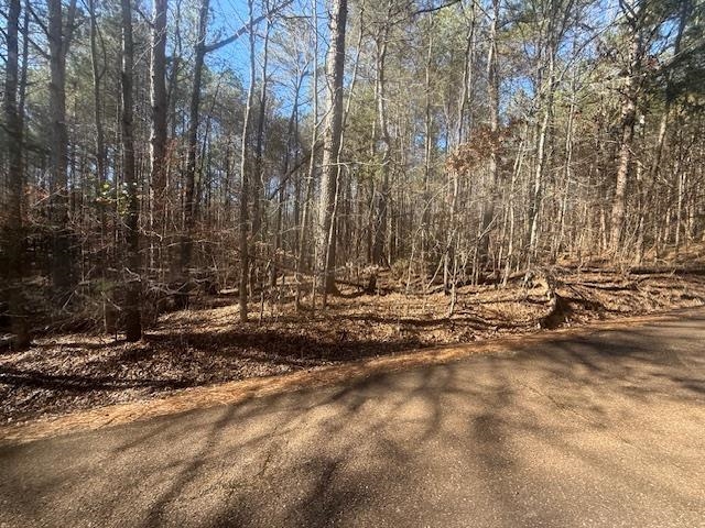 11 Harris Road Bolivar, TN 38008 - Photo 8 of 18