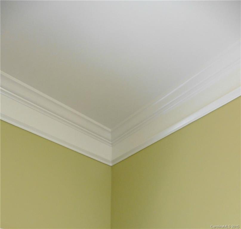 1830 Larkspur Way, Unit 202 Tega Cay, SC 29708 - Photo 13 of 24 Gallery Image 13
