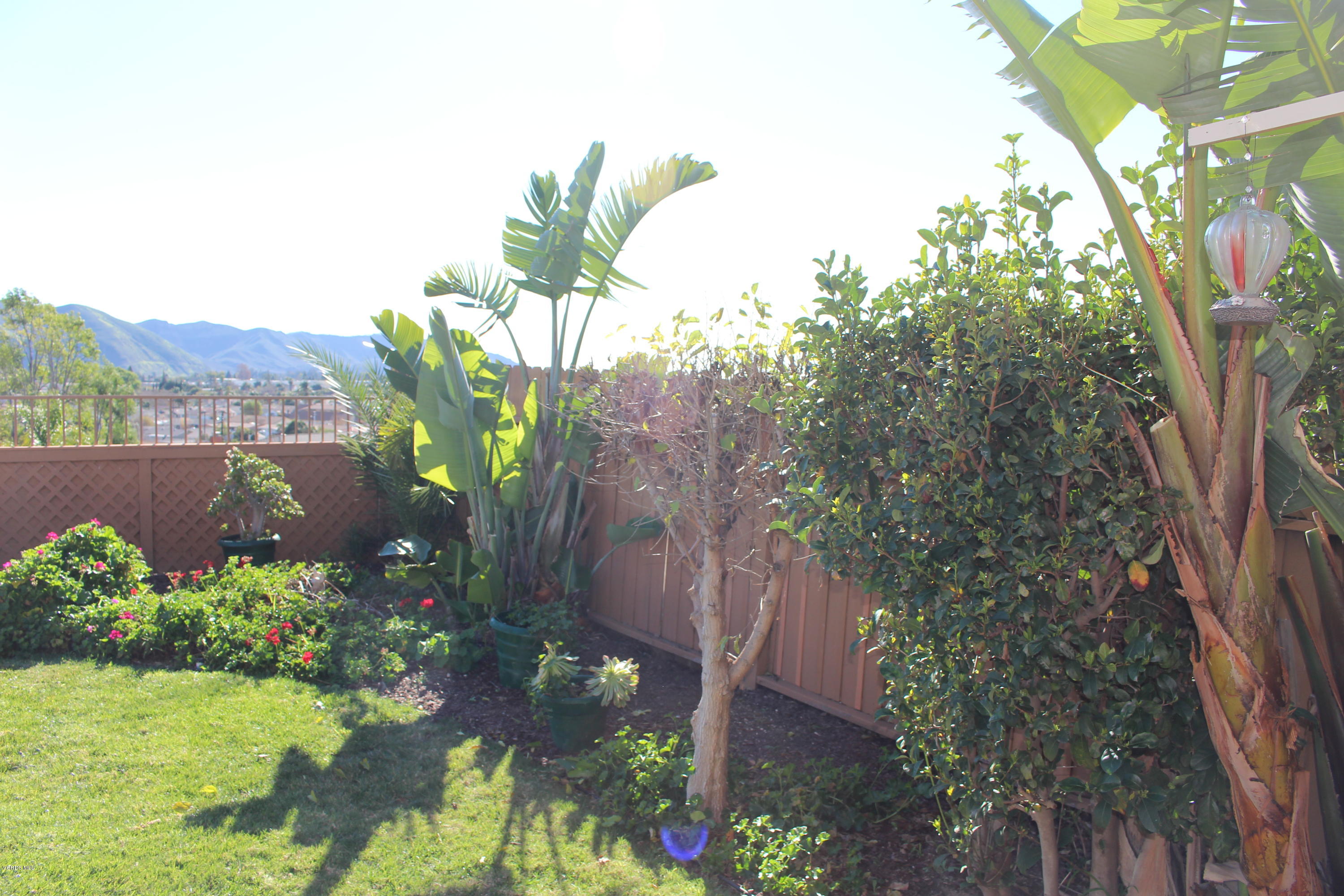 548 Foothill Road Santa Paula, CA 93060 - Photo 29 of 30 IMG_3877