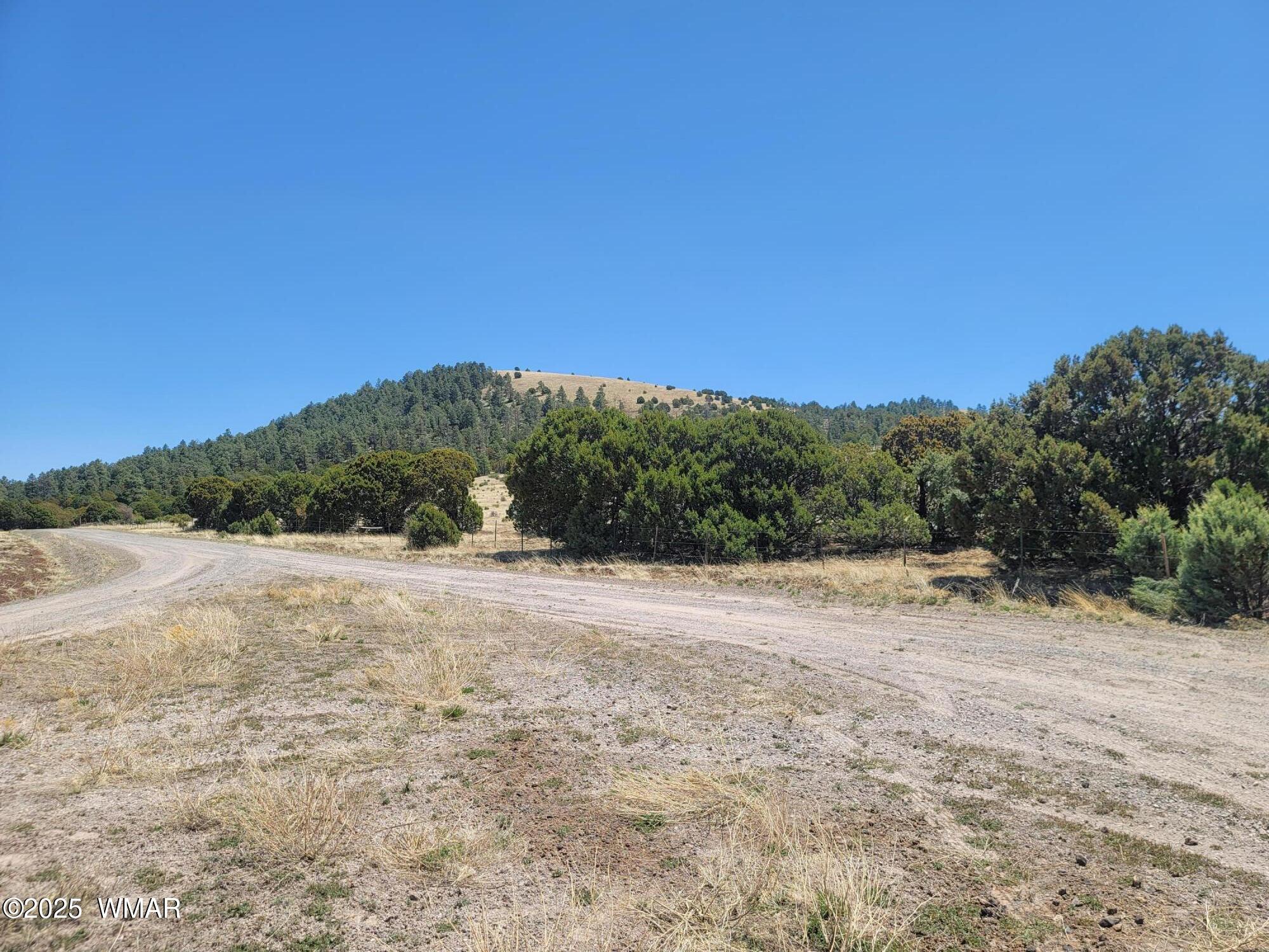 Tbd Tbd Red Cabin Ranch Vernon, AZ 85940 - Photo 11 of 13 Ground View