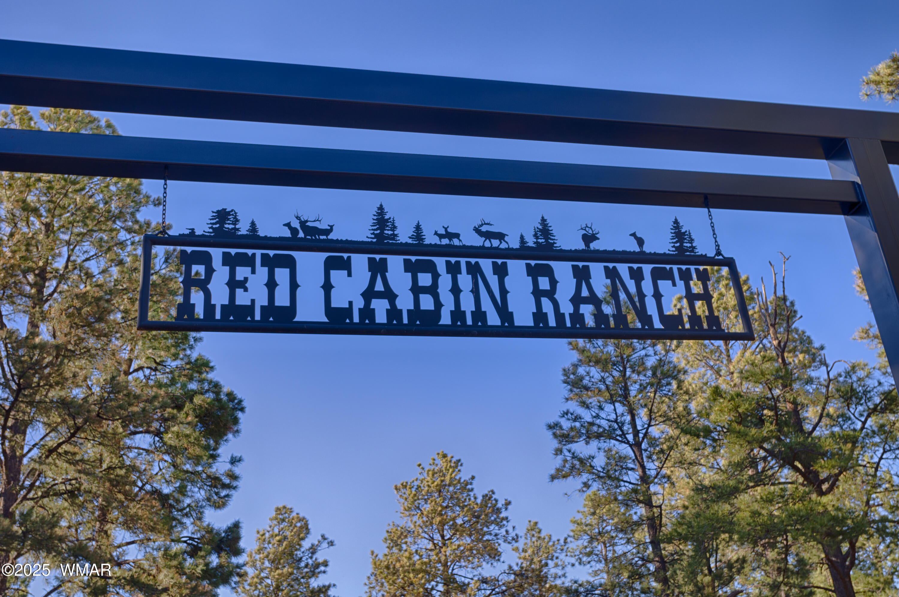 Tbd Tbd Red Cabin Ranch Vernon, AZ 85940 - Photo 2 of 13 4