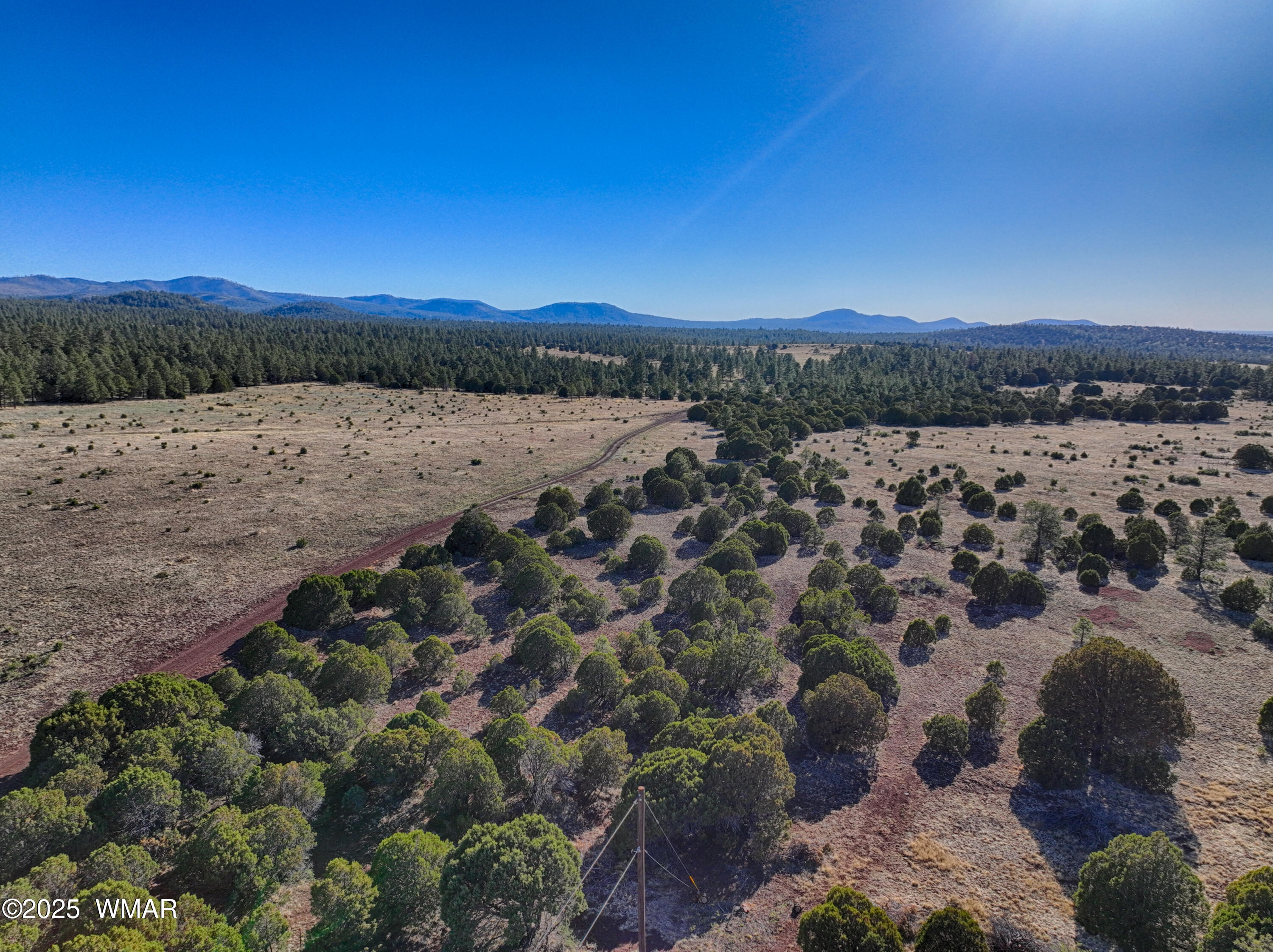 Tbd Tbd Red Cabin Ranch Vernon, AZ 85940 - Photo 4 of 13 5
