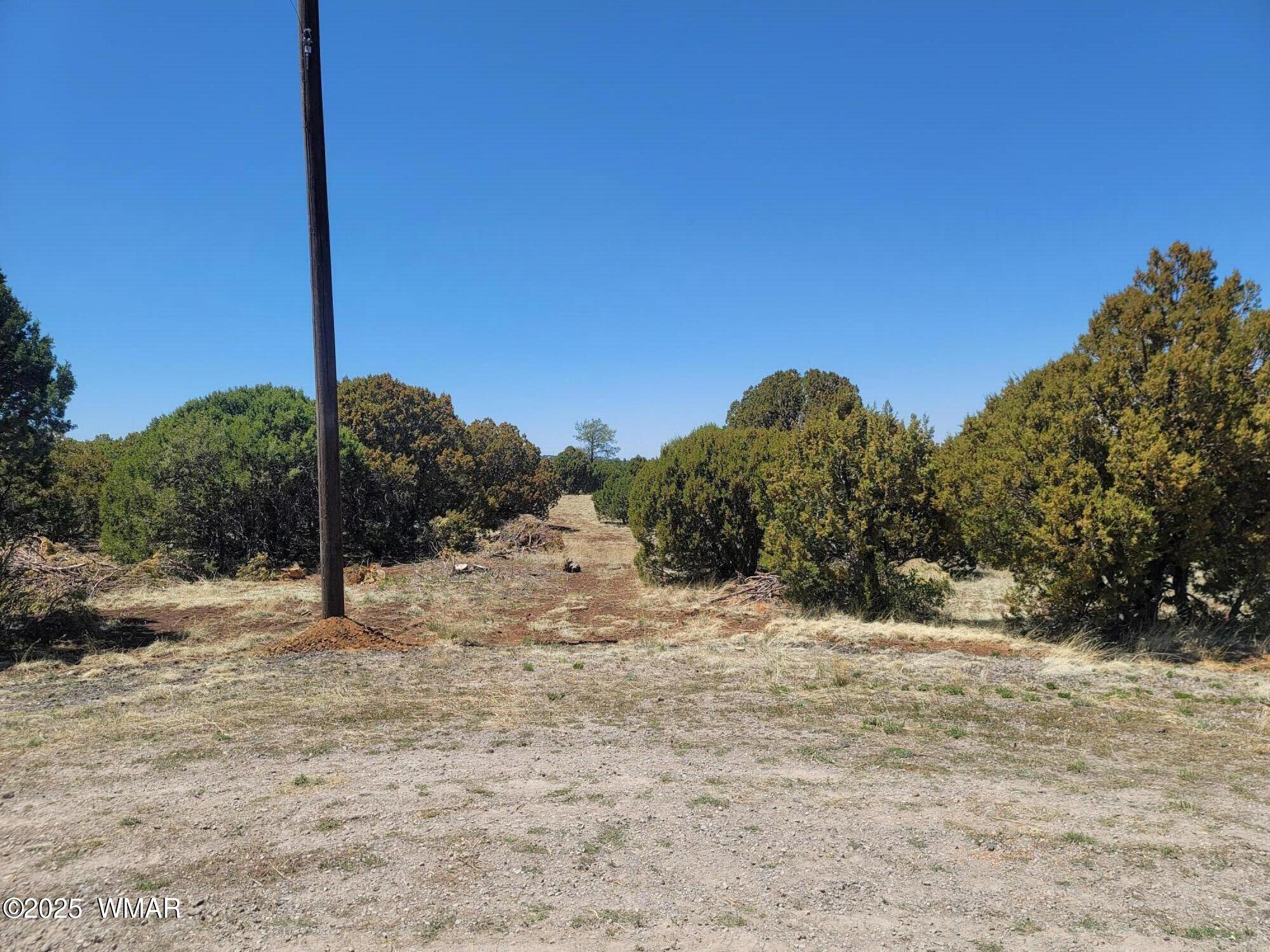 Tbd Tbd Red Cabin Ranch Vernon, AZ 85940 - Photo 10 of 13 Ground view with Power Pole