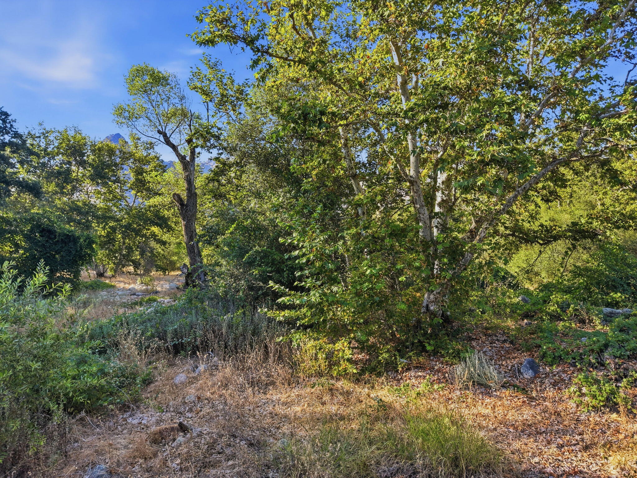 Three Rivers Ca Three Rivers, CA 93271 - Photo 4 of 15 150-Three_Rivers_Lot_2_013