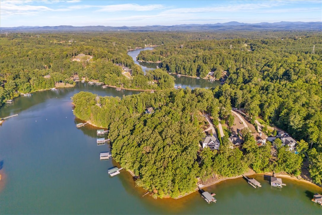 545 Peninsula Road West Union, SC 29696 - Photo 46 of 49 This aerial view showcases a vibrant community nestled along a winding lake amidst lush green forests.
