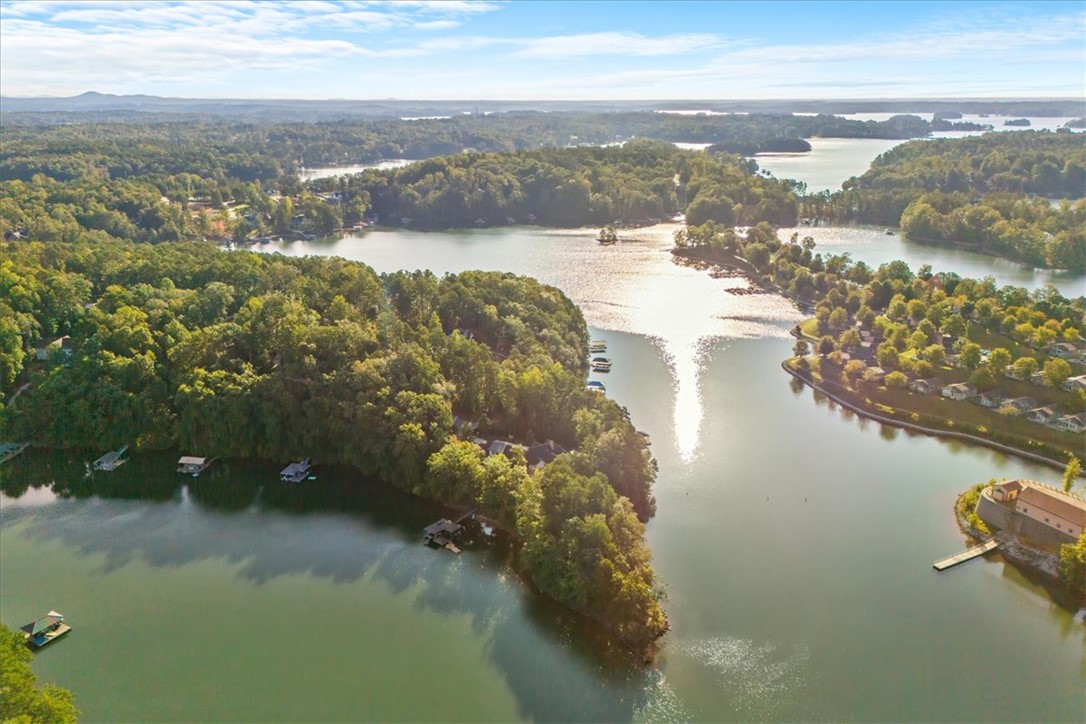 545 Peninsula Road West Union, SC 29696 - Photo 48 of 49 This aerial view showcases a vibrant community nestled along the tranquil waters of a expansive lake.