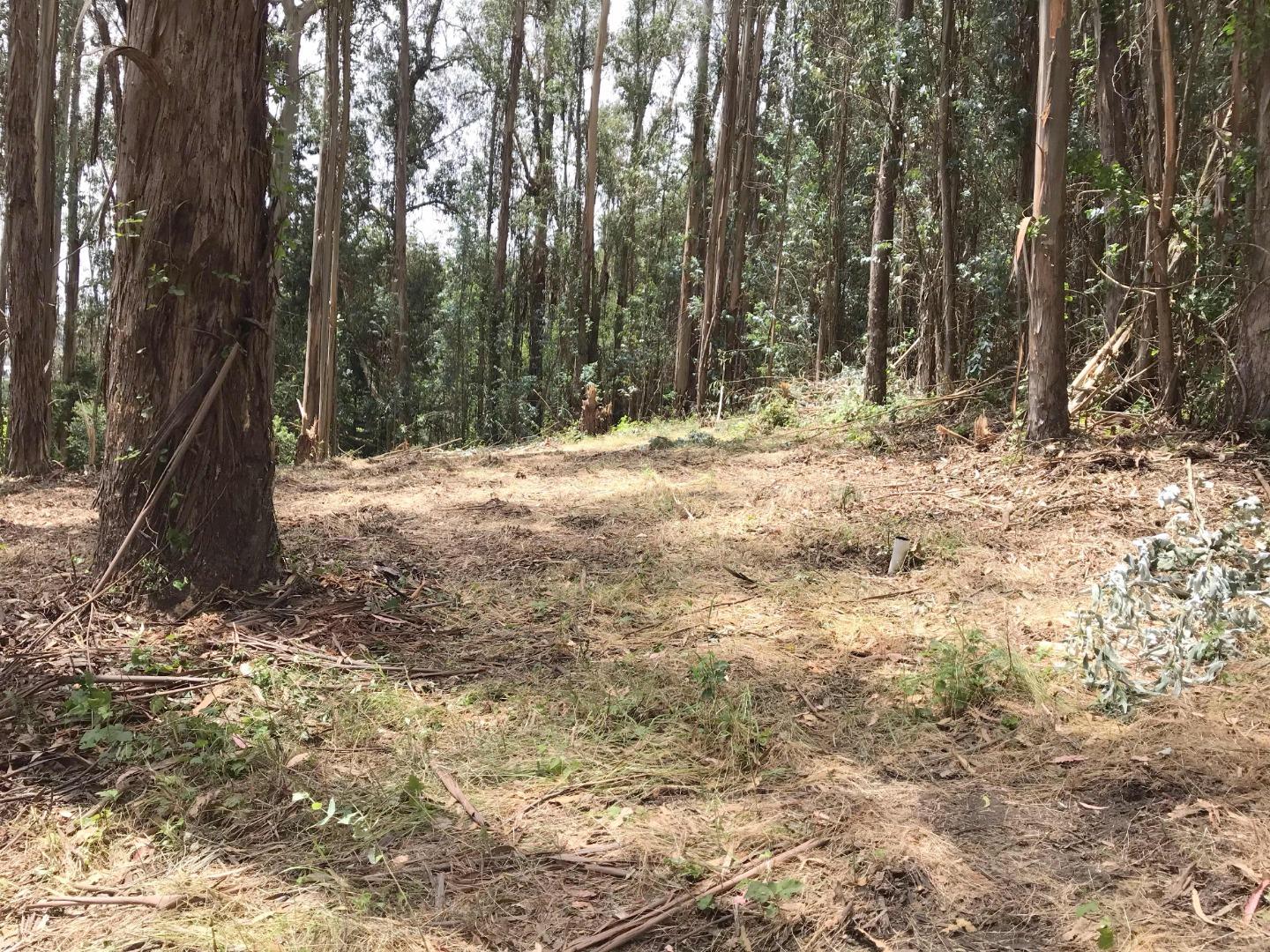 200 Valley View Road Watsonville, CA 95076 - Photo 11 of 17 a view of a yard with trees