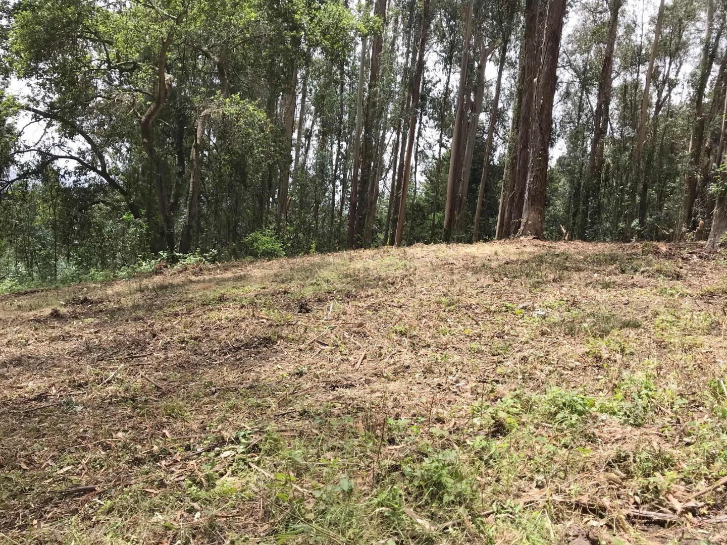 200 Valley View Road Watsonville, CA 95076 - Photo 12 of 17 a view of a yard with trees