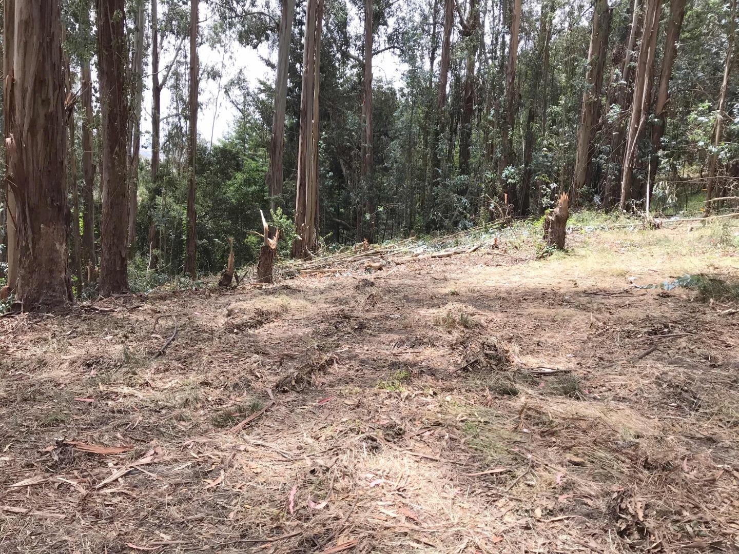 200 Valley View Road Watsonville, CA 95076 - Photo 13 of 17 a view of outdoor space with trees
