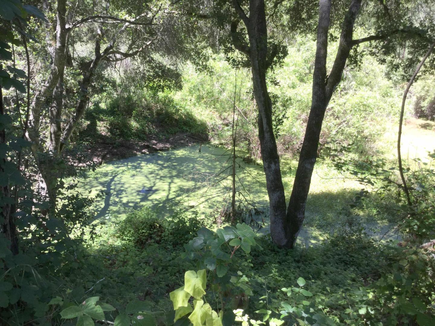 200 Valley View Road Watsonville, CA 95076 - Photo 14 of 17 a view of a yard with a tree