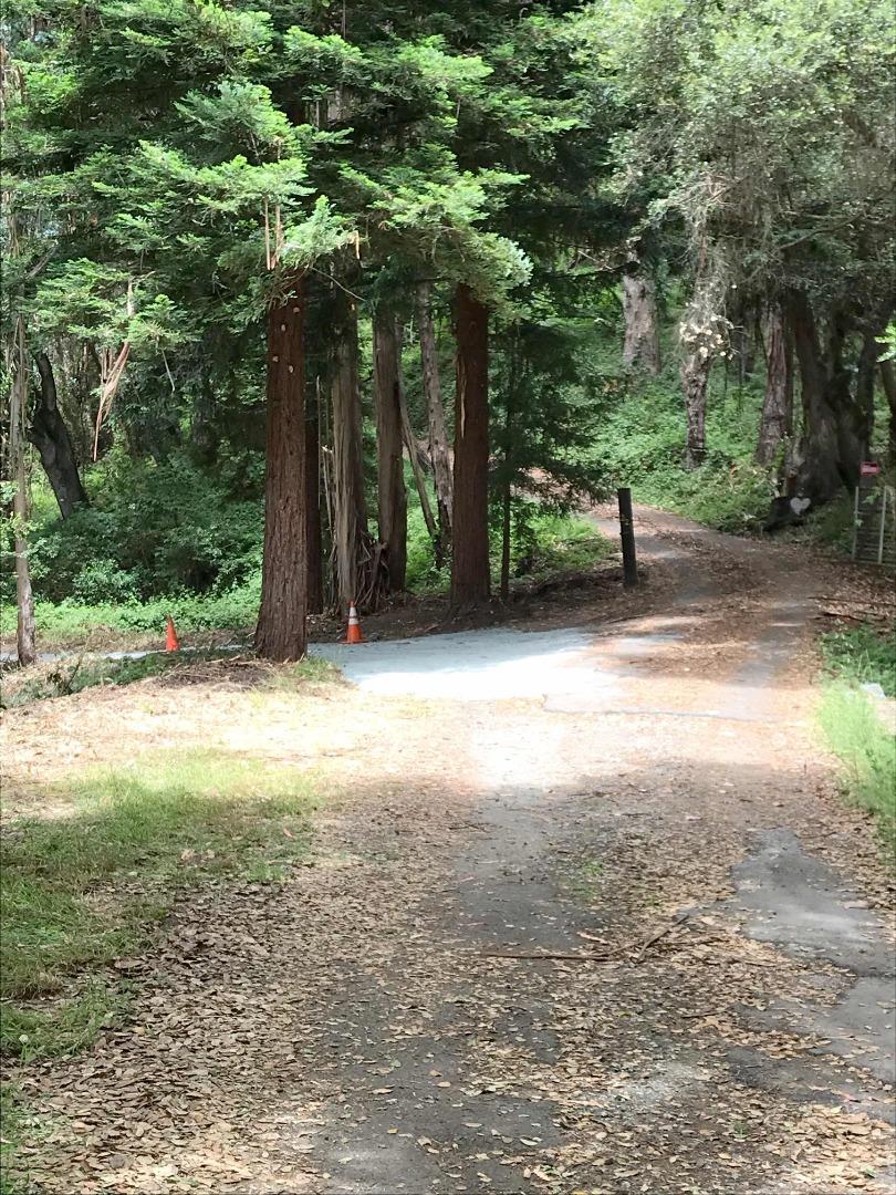 200 Valley View Road Watsonville, CA 95076 - Photo 3 of 17 a view of a yard with large trees
