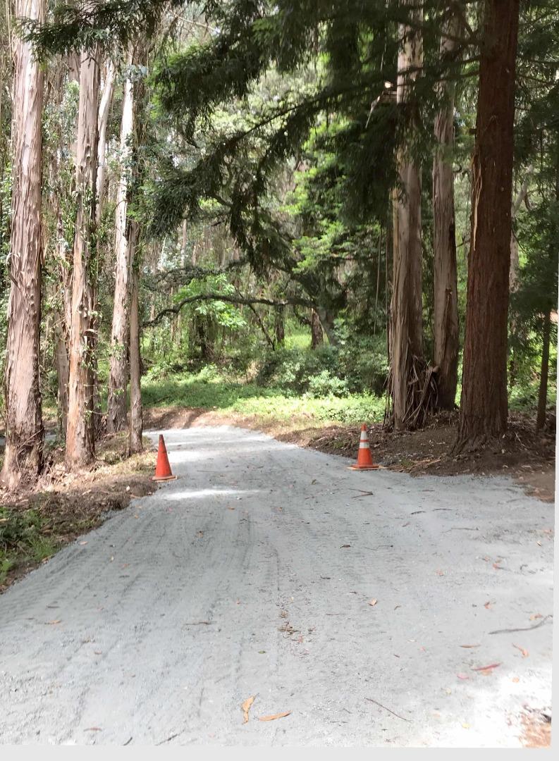 200 Valley View Road Watsonville, CA 95076 - Photo 5 of 17 a view of road and trees