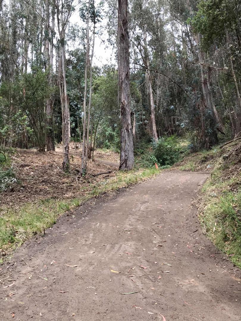 200 Valley View Road Watsonville, CA 95076 - Photo 7 of 17 a view of a out door space area