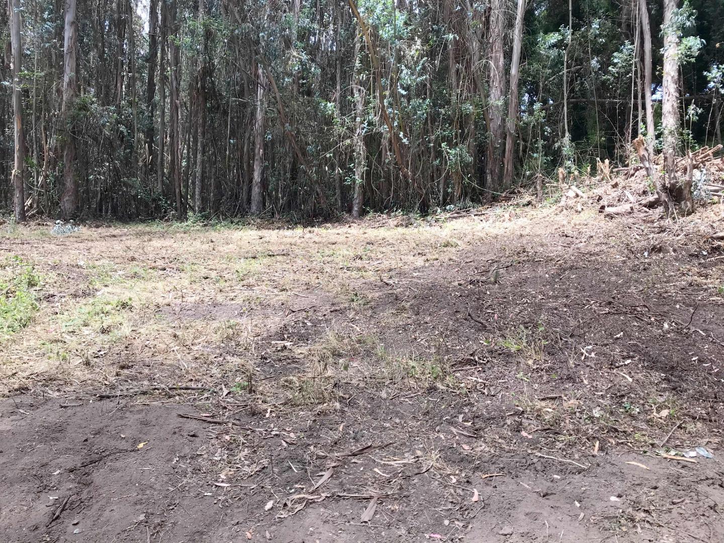 200 Valley View Road Watsonville, CA 95076 - Photo 9 of 17 a view of side of a yard