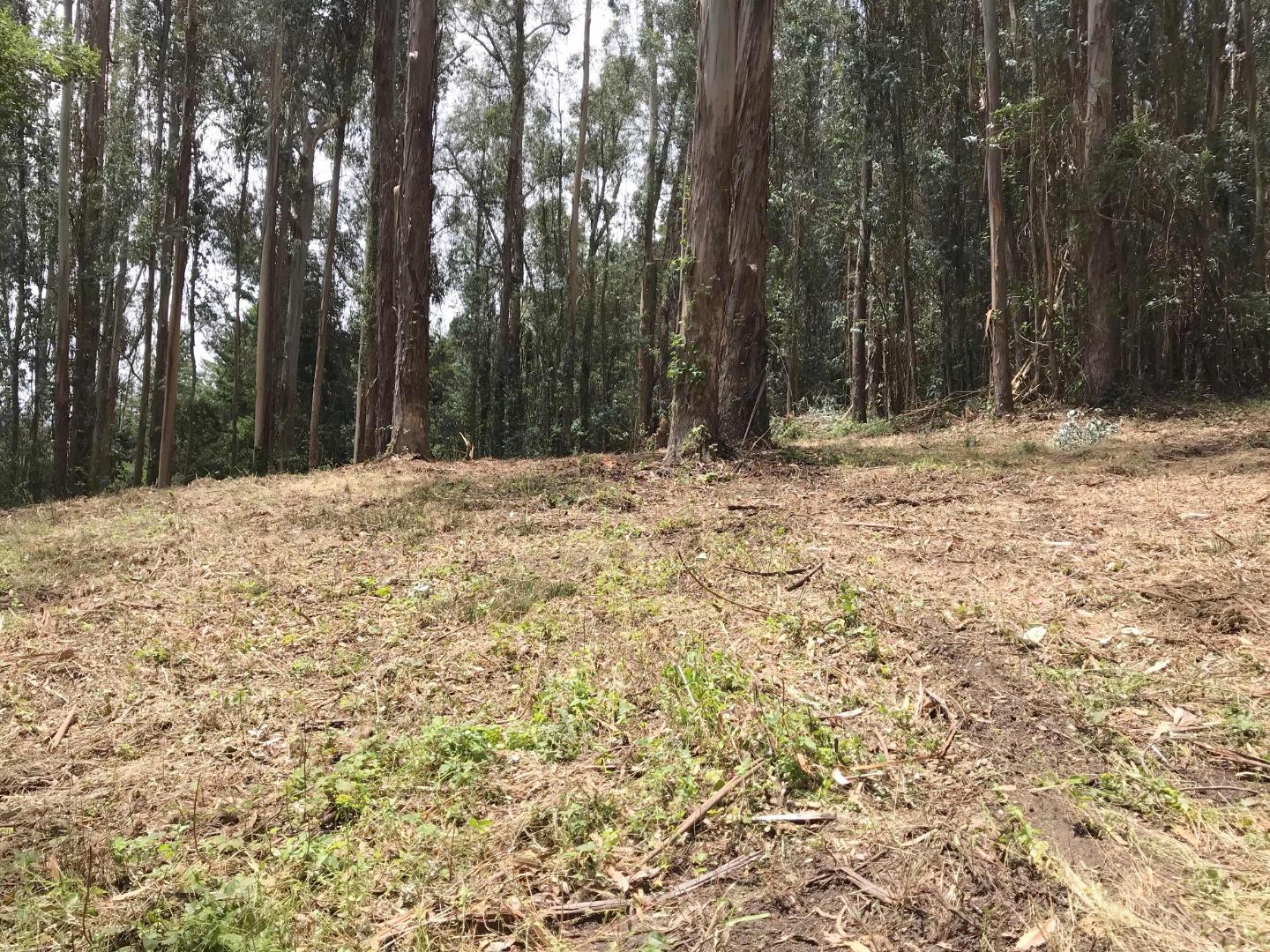 200 Valley View Road Watsonville, CA 95076 - Photo 10 of 17 a view of a yard with trees