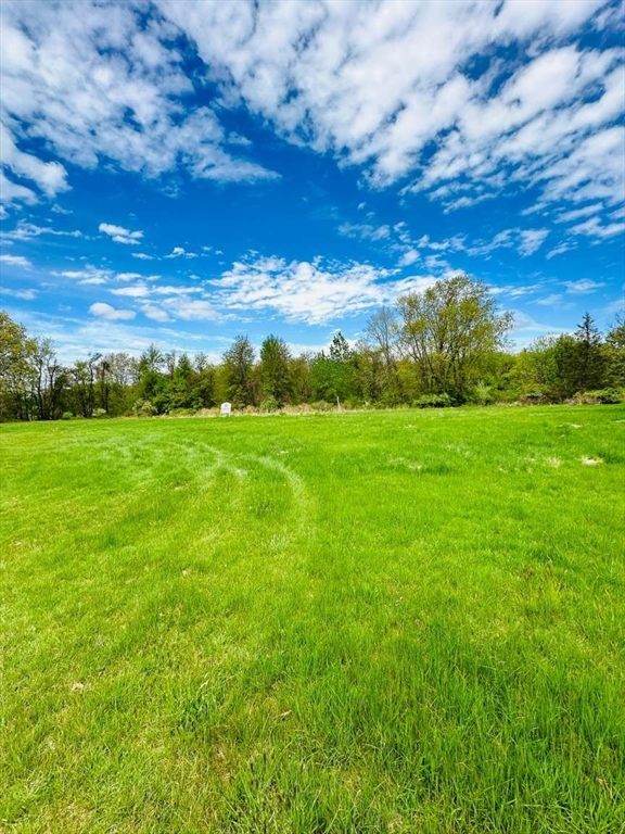 124 Burbank Road Sutton, MA 01590 - Photo 2 of 4 a view of a big yard with lots of green space
