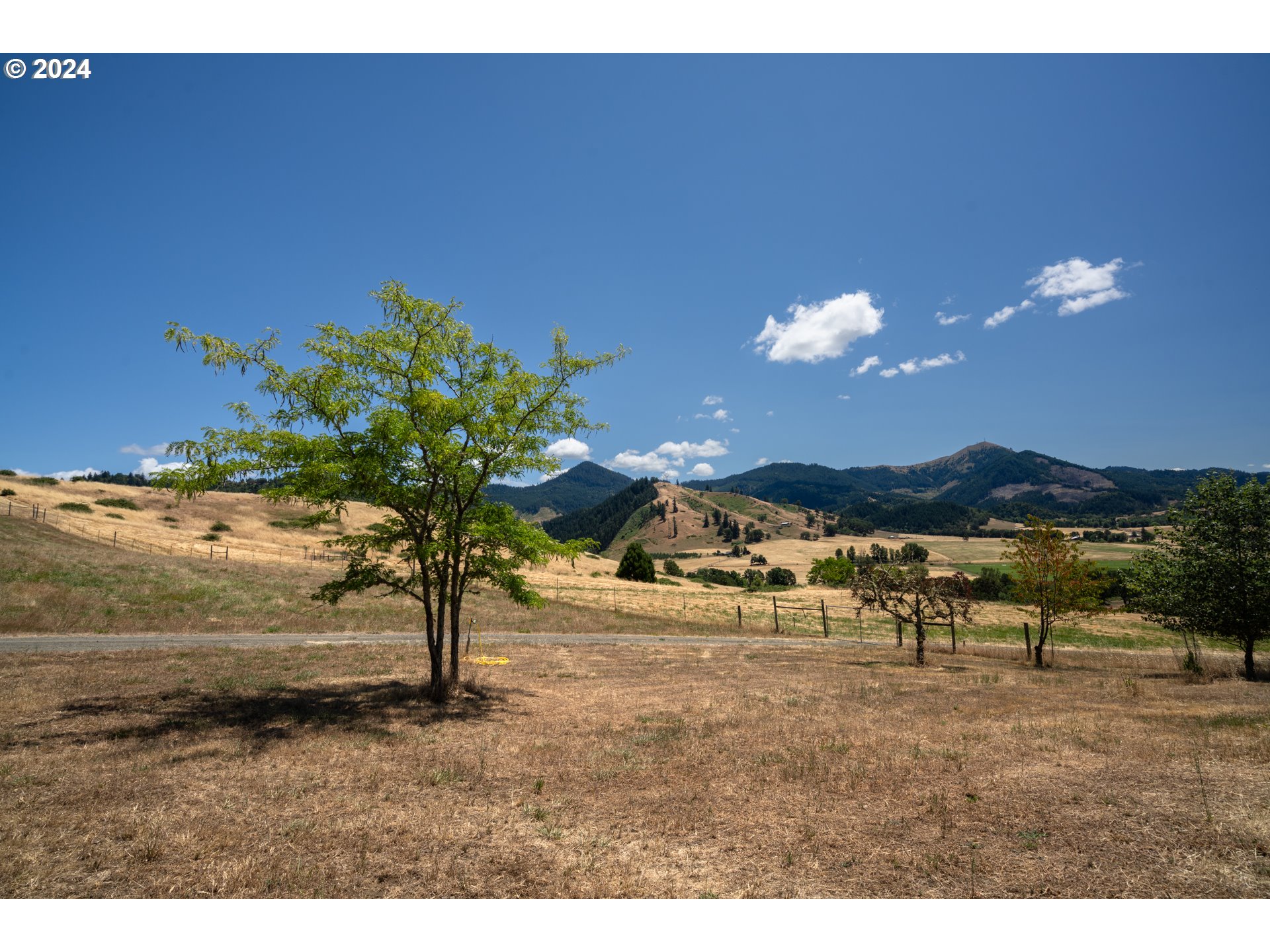 588 South Deer Creek Road Roseburg, OR 97470 - Photo 40 of 45 a view of a lake with a mountain