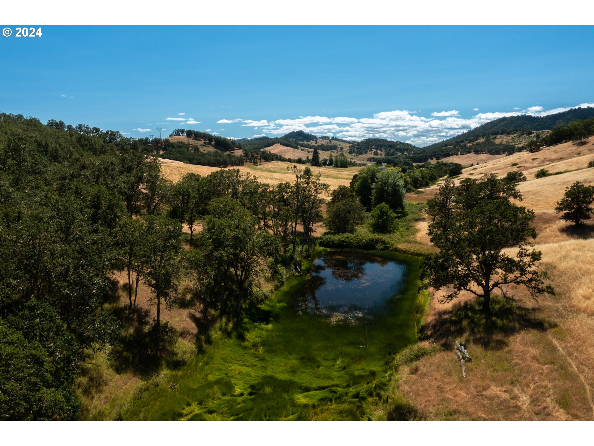 588 South Deer Creek Road Roseburg, OR 97470 - Photo 43 of 45 a view of lake