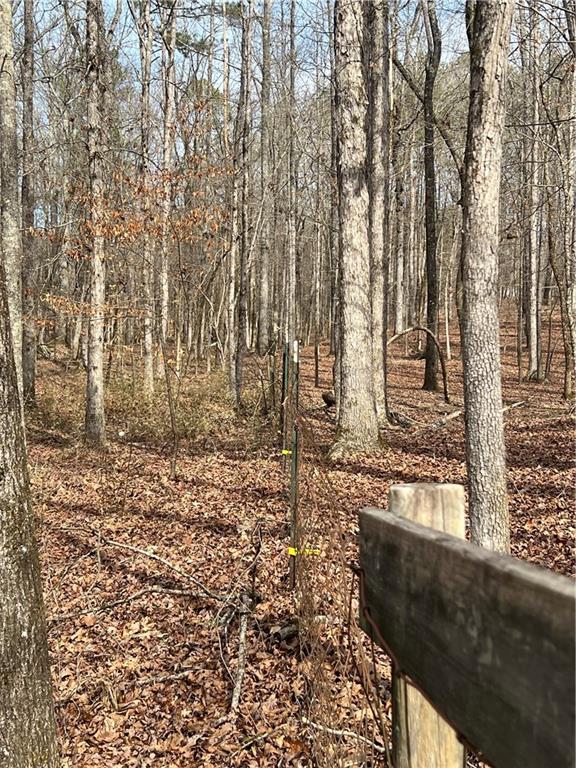 325 Everett Springs Road Calhoun, GA 30701 - Photo 2 of 6