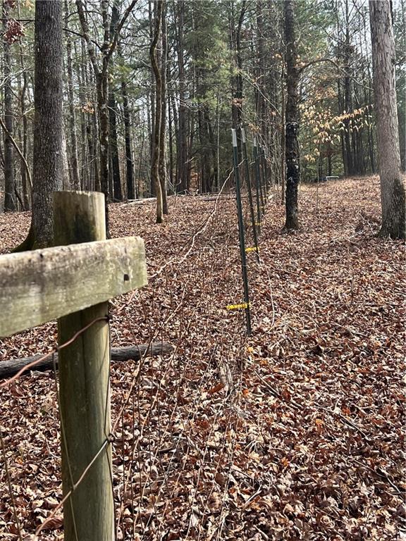 325 Everett Springs Road Calhoun, GA 30701 - Photo 3 of 6