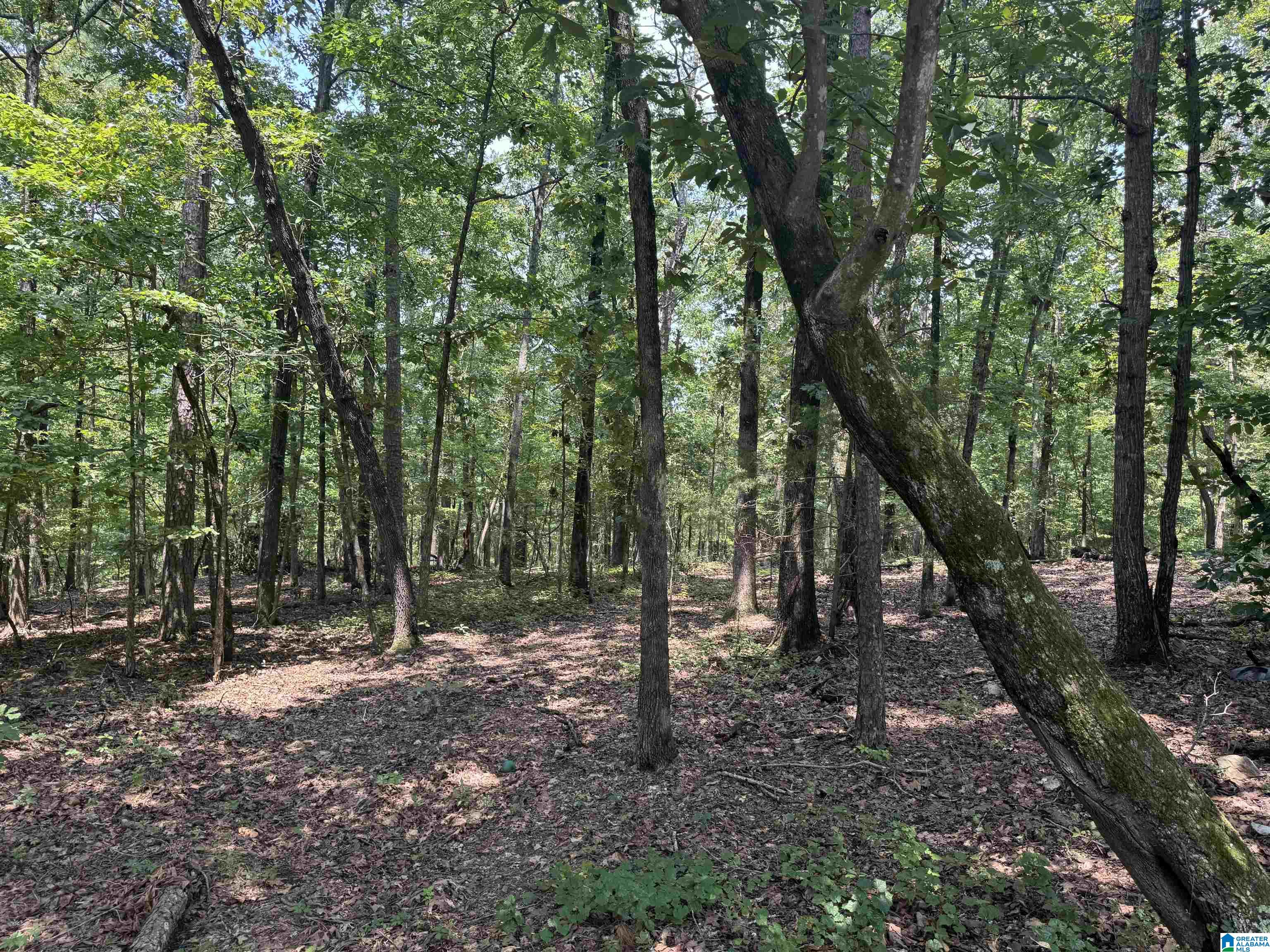 305 Stone Ridge Trail North Anniston, AL 36207 - Photo 56 of 72
