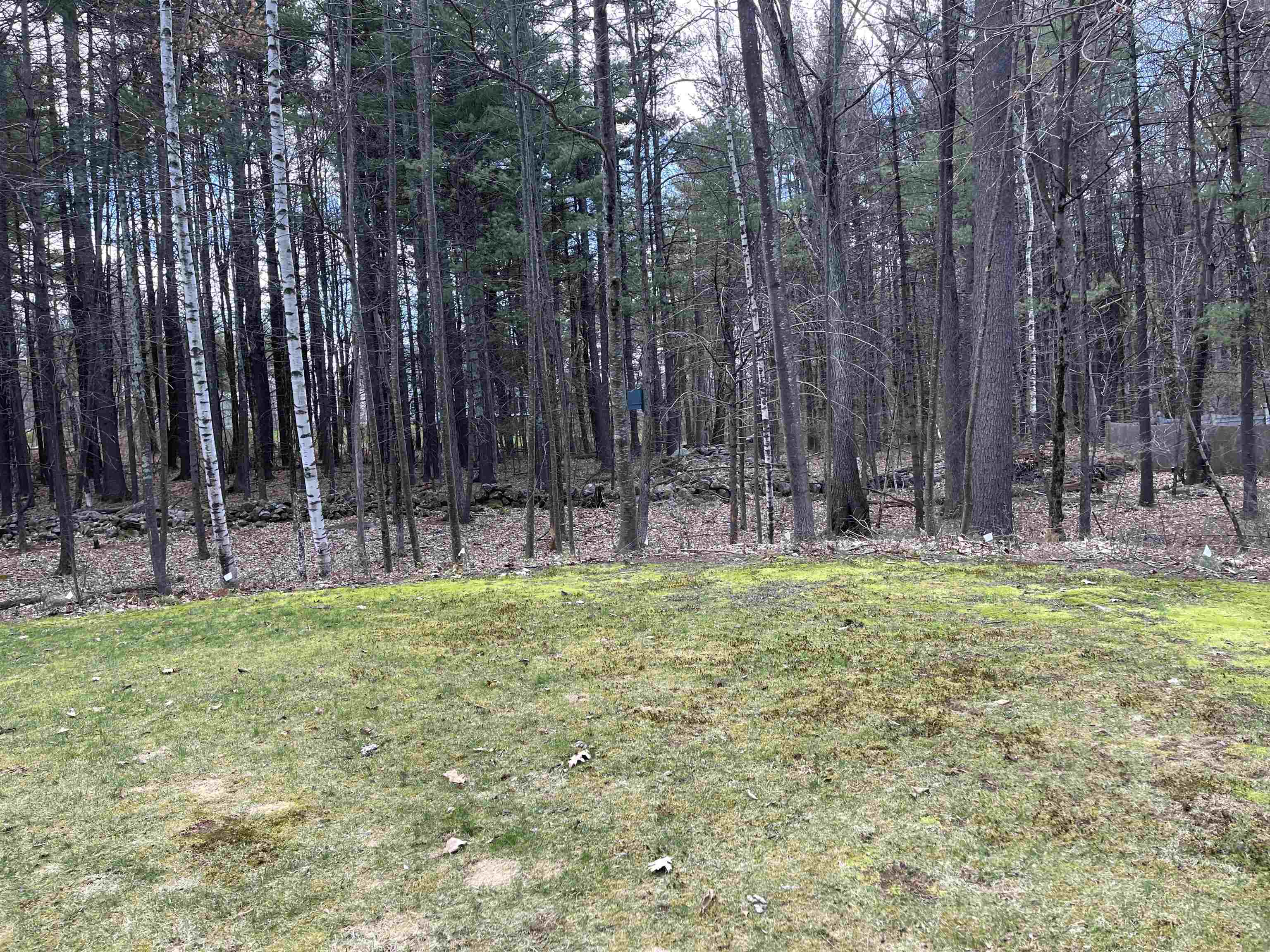 19 Old Kings Road Merrimack, NH 03054 - Photo 33 of 37